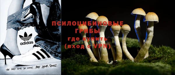 ПСИЛОЦИБИНОВЫЕ ГРИБЫ Белоозёрский