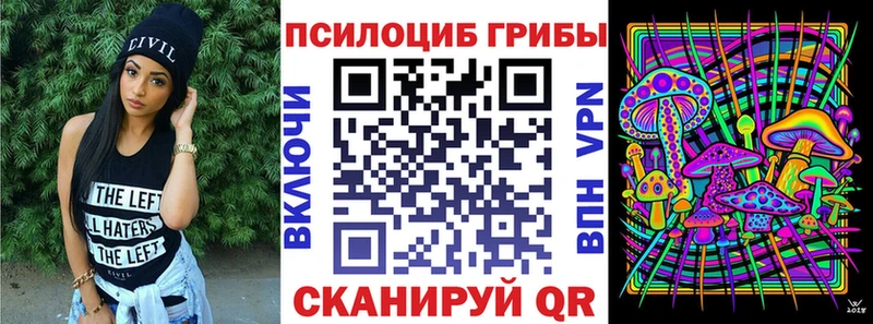 Псилоцибиновые грибы GOLDEN TEACHER  ссылка на мегу как войти  Жердевка 